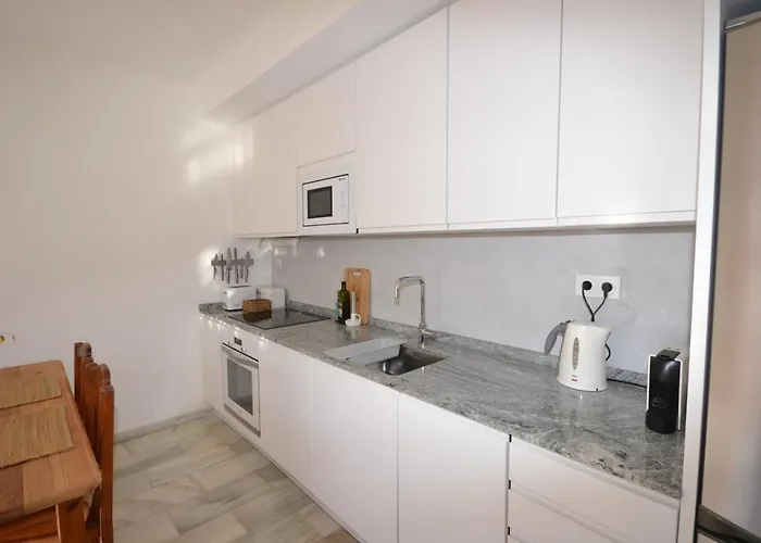 Gaviotas * Castillo de Sabinillas